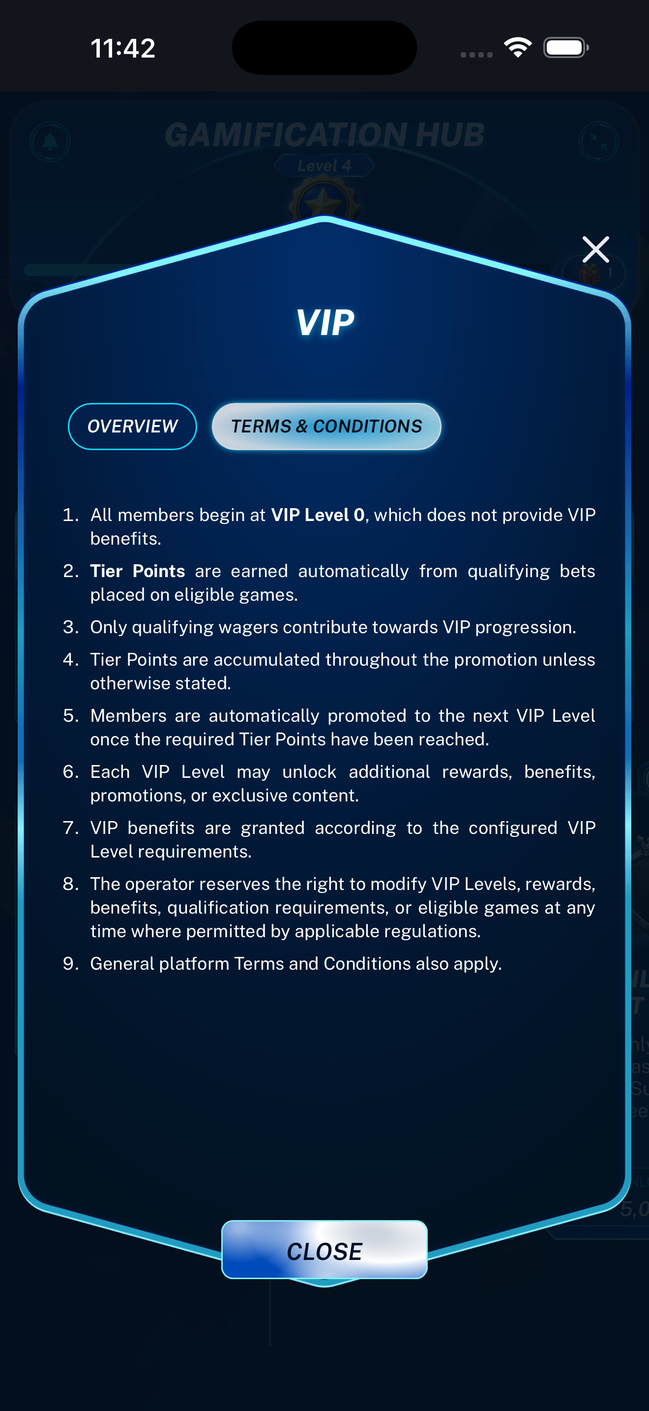 VIP terms and conditions displayed on a mobile phone